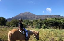 Horseback Riding on Vesuvius