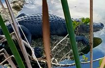 Florida Keys Nature & History Tour from Key West