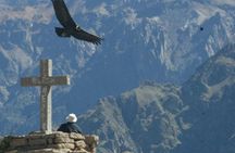 Colca Full Day 