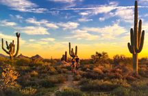 Desert Guided E-Bike Tour