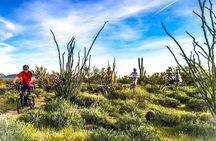 Desert Guided E-Bike Tour