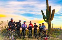 Desert Guided E-Bike Tour