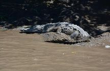 Palo Verde Wildlife Tour from Playa Hermosa-Coco Beach