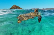 Kailua 2-Hour Guided Kayaking Excursion, Oahu