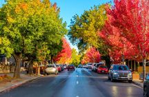 Adelaide: Private Boutique Wine Tasting & Sightseeing Tour
