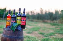 Wine & Oil Tasting Experience