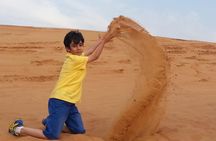 Desert Safari Tour, Quad Bike with BBQ Dinner & Show from Dubai