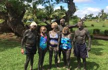 Sabeto Mud Baths and Garden of the Sleeping Giant Tour