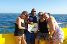 simi submarine in Hurghada