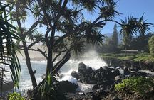 Private Halfway to Hana Tour