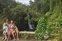 Private Hana Waterfalls Tour