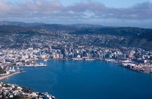 Wellington Shore Excursion City Sightseeing Tour
