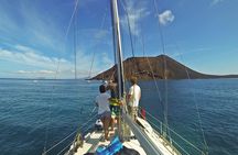 Private Boat Tour to Lobos Island from Corralejo