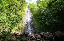 Hawaiian Waterfall Hike