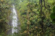 Hawaiian Waterfall Hike