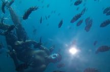 simi submarine in Hurghada