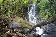 Oahu Hidden Waterfall Hike: A Tropical Paradise Adventure