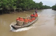 Mekong Delta Cycling Trip Including Cai Be