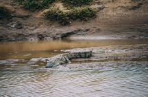 Udawalawe Safari DayTrip frm Bentota/Kalutara/Ahungalla/Hikkaduwa