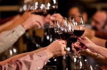 Wine Class and Tasting in Milan - Small Group