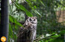 Airport Cataratas IGU Pick-Up & Iguassu Falls Brazilian Side & Bird Park 