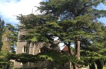 The Roman City of St Albans Private Tour