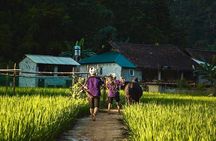 Majesty Of Untouched Northern Vietnam Tour 6 Days
