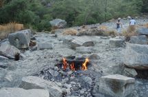 Phaselis, Ulupinar, Khimera, Çirali, Olympos Beach Tour