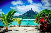 Bora Bora Off-Road Sightseeing Tour