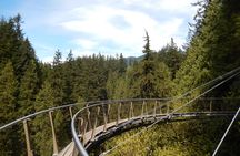 Vancouver Highlights and Capilano Suspension Park Tour - Private Charter (7 hrs)
