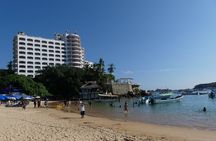  Small-Group or Private All Inclusive 4 Hours City Tour & Divers