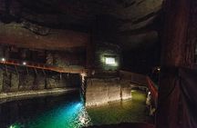 Auschwitz-Birkenau & Wieliczka in one day (Guided tour)