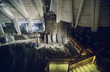 Auschwitz-Birkenau & Wieliczka in one day (Guided tour)