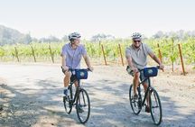 Half-Day Napa Valley E-Bike Tour