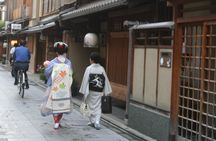 Kyoto private tour (Shore excursion available from Osaka or Kobe port)