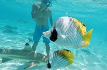 Moorea Solo or Twin 3 hours Jet Ski Tour