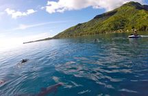 Moorea Solo or Twin 3 hours Jet Ski Tour