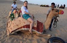 Vip evening Desert Safari pickup and drop by Land Cruiser 