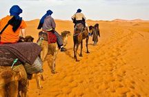Red Dunes Desert Safari Plus ATV Quad Bike Ride (Land Cruiser)