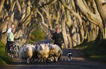 Dublin: Giant's Causeway, Dark Hedges, Dunluce and Belfast Titanic entrance fee