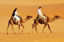 Evening Desert Safari with BBQ Dinner & 7 Live Show's 