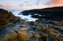 Dublin to Dunluce Castle, Giant's Causeway, Dark Hedge, Belfast
