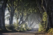 Dublin to Dunluce Castle, Giant's Causeway, Dark Hedges & Belfast