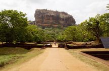 Day Tour from kandy to Sigiriya, Dambulla & National Park safari.