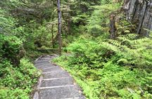 3 Hour Rainforest Walk & Totem Park Wild Wolf Tours