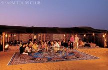 Desert Quad Bike, Bedouin Dinner Show, Camel Riding in Sharm el Sheikh