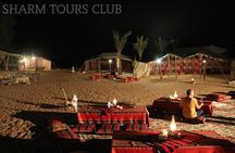 Desert Quad Bike, Bedouin Dinner Show, Camel Riding in Sharm el Sheikh