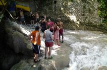 Ziplinig Dunn's River Falls from Montego Bay 