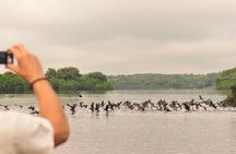 3-Day Manaus Amazon Jungle Adventure