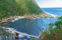 From Cape Town: 2-Nights, 3-Days Garden Route private tour